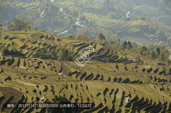 亞洲