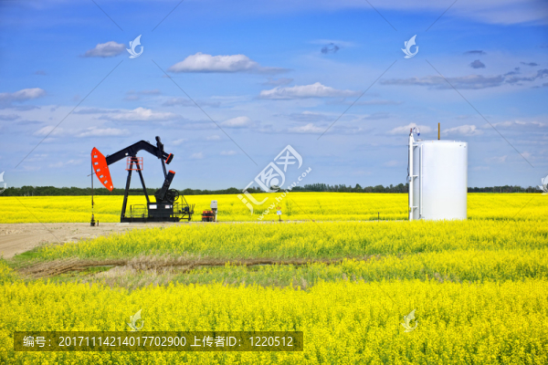 馬-匯圖網(wǎng) www.fosd68.com 馬