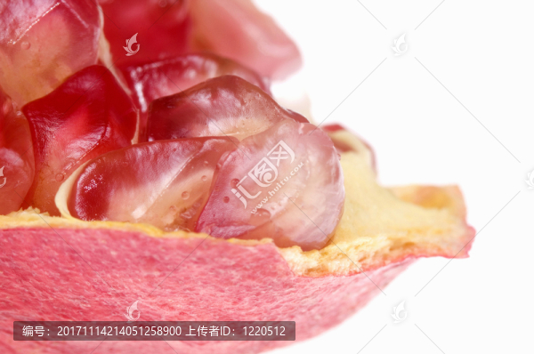 食物