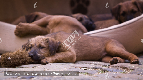 網(wǎng)絡(luò)日志本