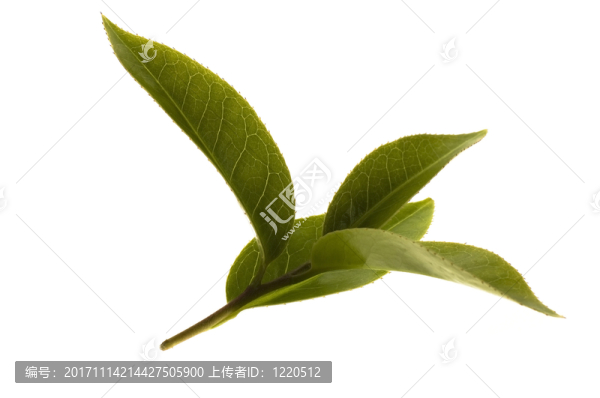 美國(guó)技術(shù)教育協(xié)會(huì)