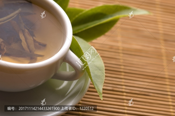 針術(shù)