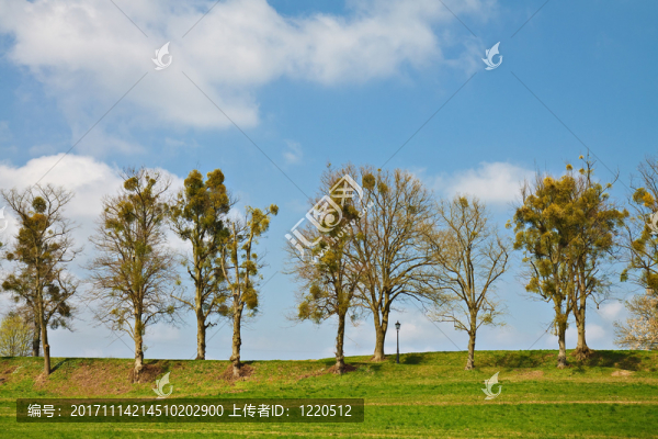 藍(lán)色