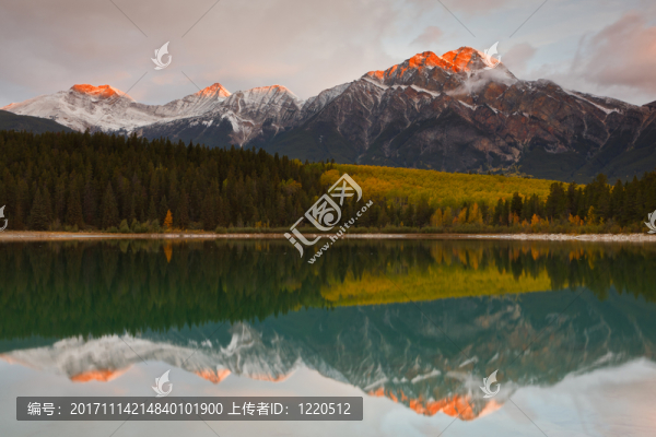 旅行
