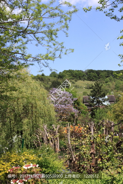 藍(lán)色