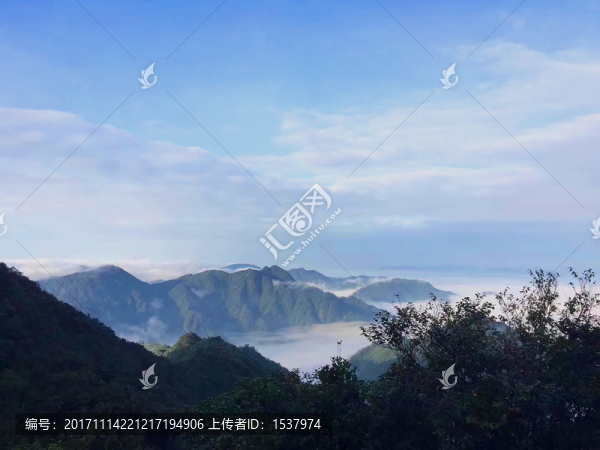 山
