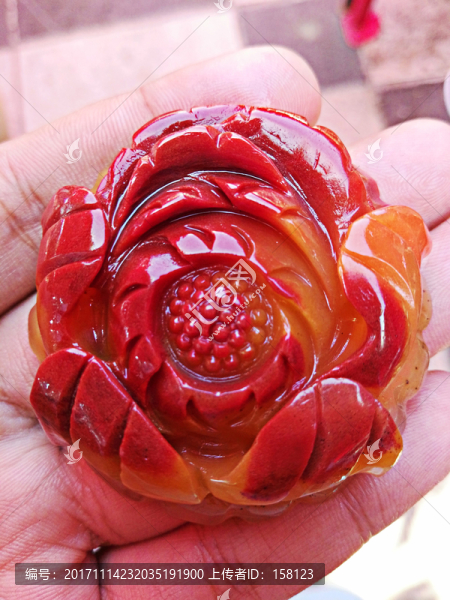 黃龍玉花