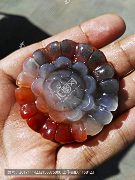 黃龍玉花