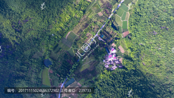 俯視田園