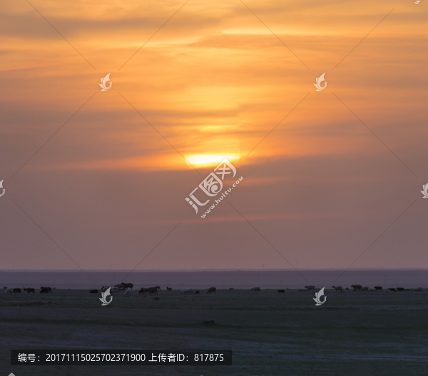 夕陽(yáng)