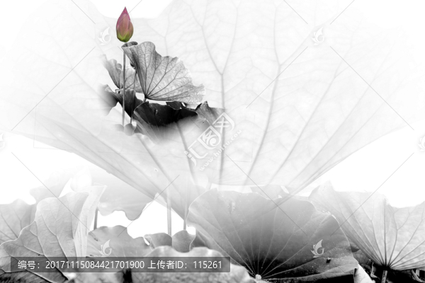 夢幻水墨