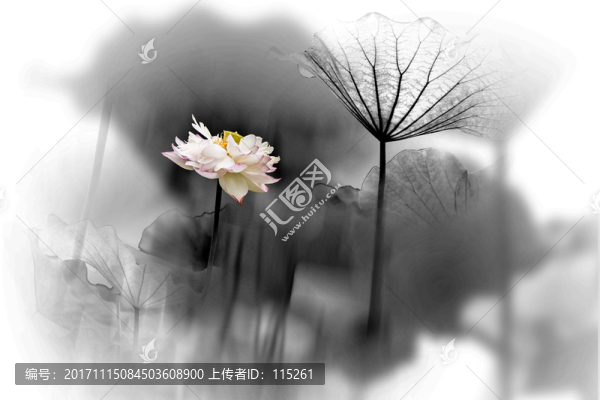 濃彩水墨花韻