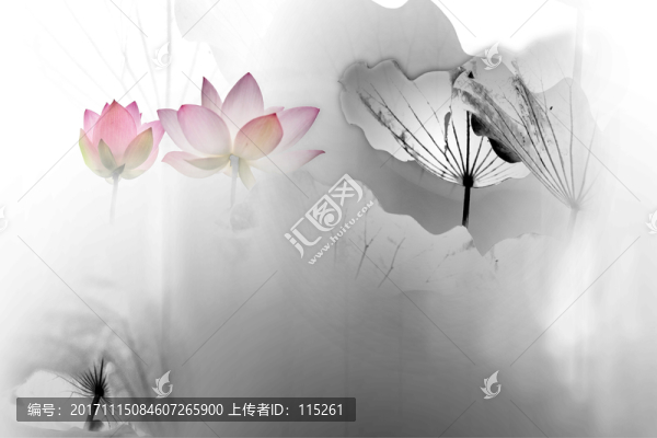 荷花淡彩
