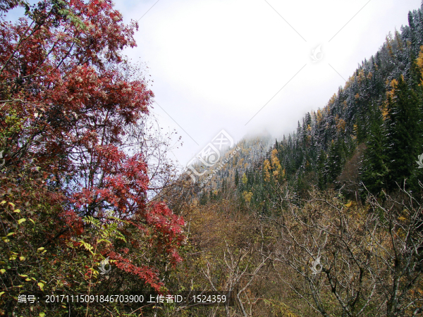 九寨溝