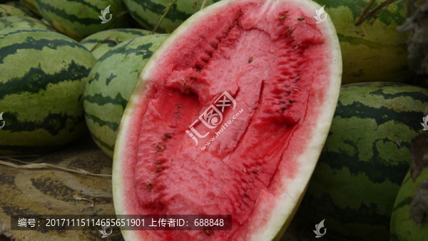 西瓜