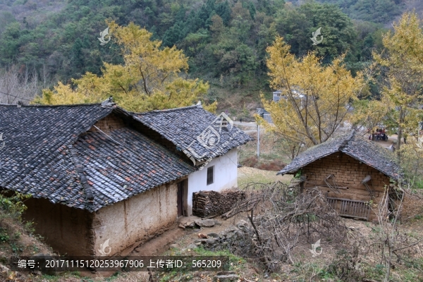 安陸,錢沖,銀杏谷,風景