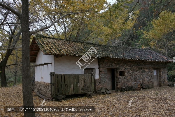 安陸錢(qián)沖銀杏谷風(fēng)景