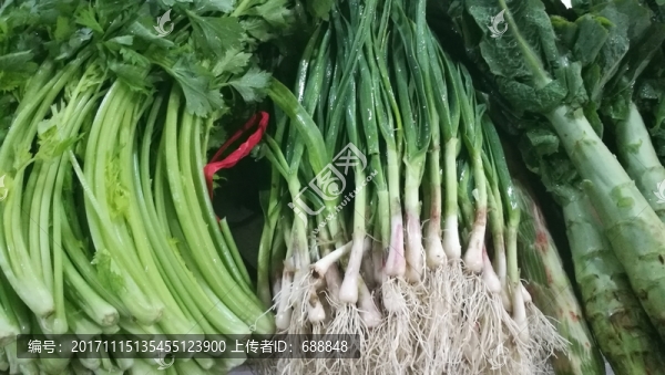 青菜