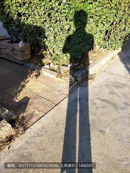 陽光下的影子