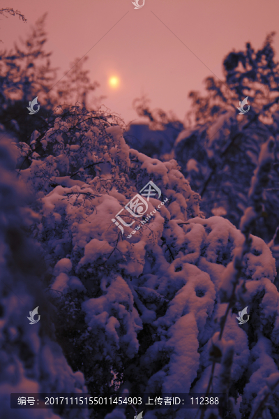 冰雪,冰天雪地,冬天,白雪皚皚