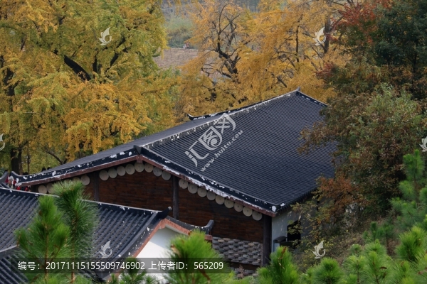 隨州銀杏谷
