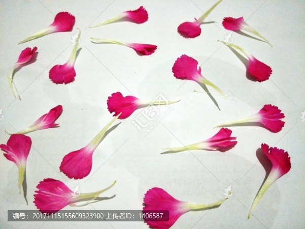 花瓣