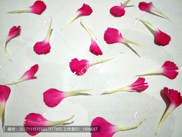 花瓣