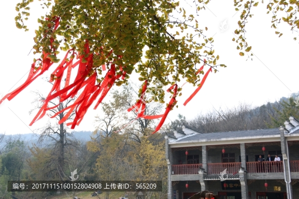 隨州銀杏谷