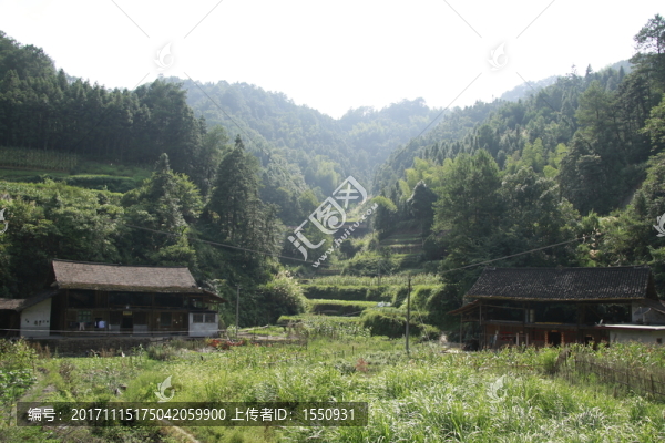 農(nóng)村木屋