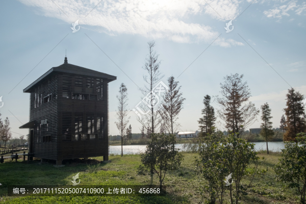 公園,木屋