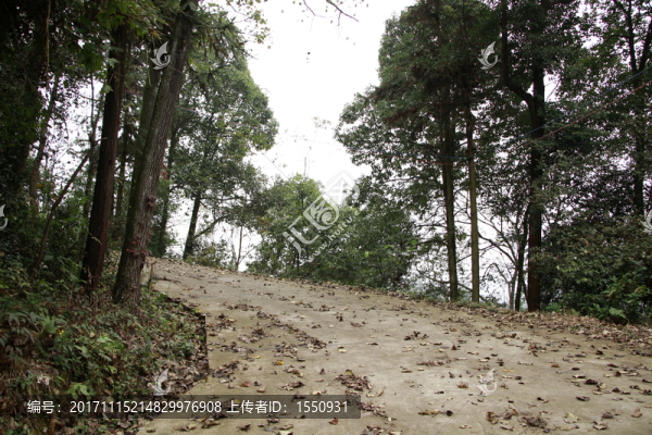 山間小路