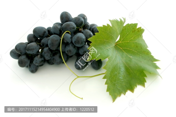 藍色
