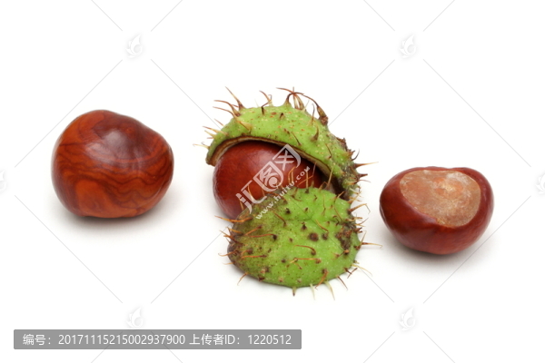 栗子