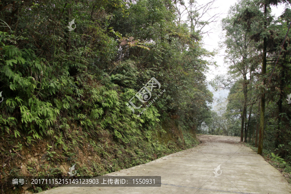 山間小路