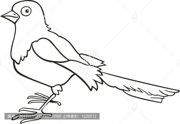 鳥