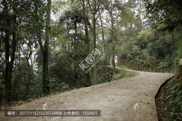 山間小路