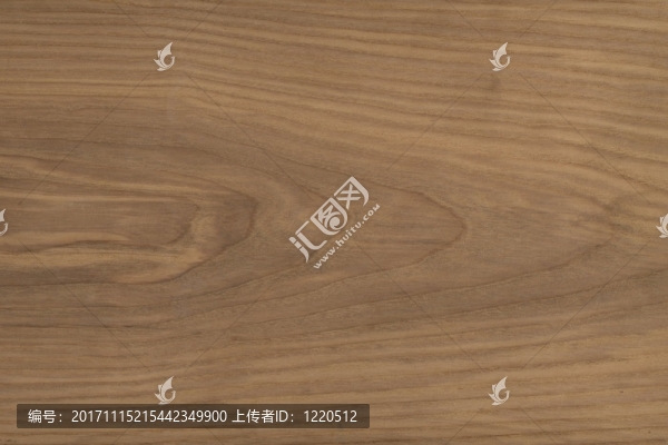 樹