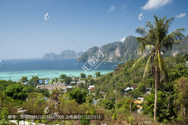 旅行