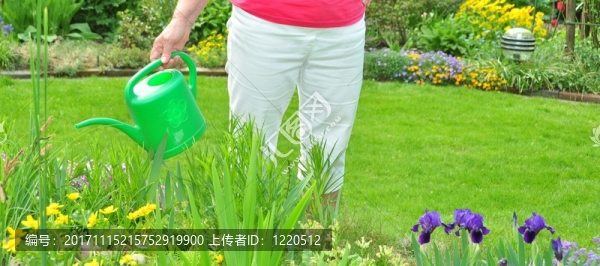 在春天園藝