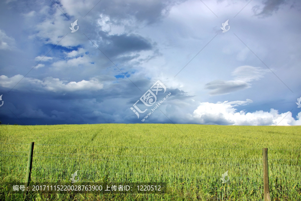 藍色