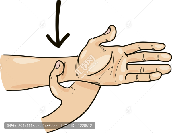 手-匯圖網(wǎng) www.fosd68.com 手