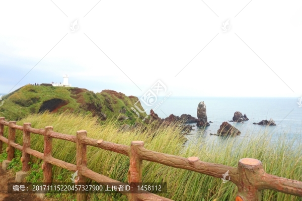 涉地可支