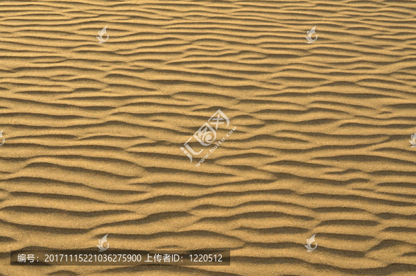 海灘