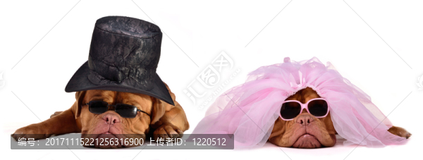 隔離的