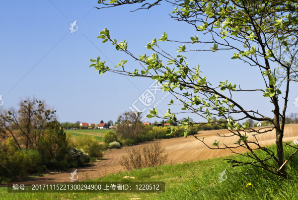 國家田園詩