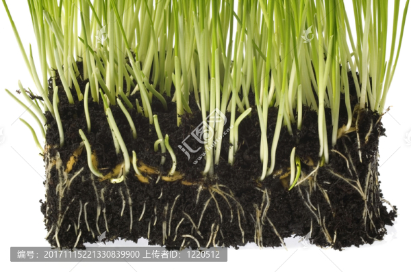 地面-匯圖網(wǎng) www.fosd68.com 地面