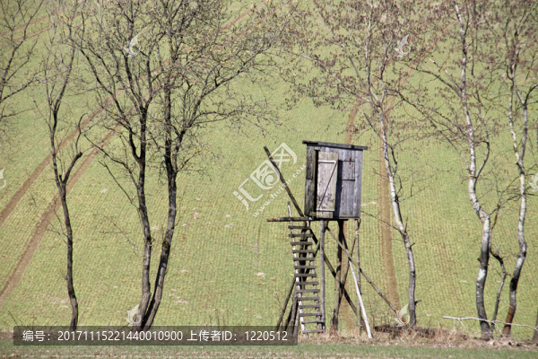 棲息處