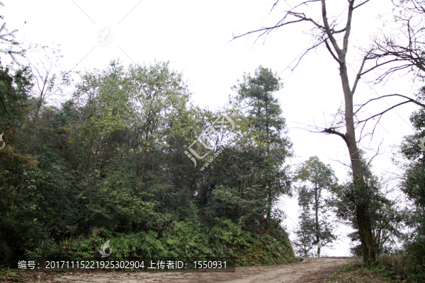 山間小路