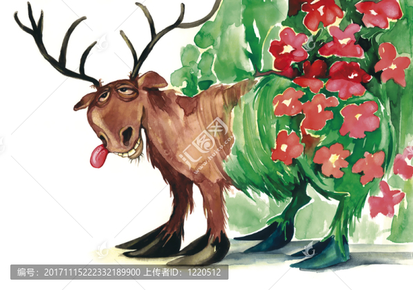 花-匯圖網(wǎng) www.fosd68.com 花