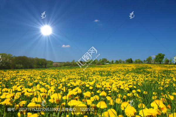 假日